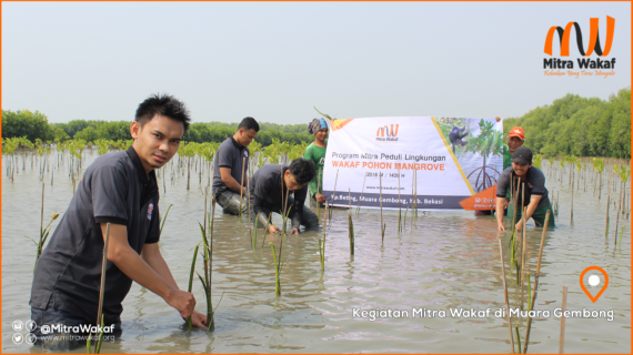 MWI – Tanam Ratusan bibit Mangrove di Muara Gembong, Bekasi